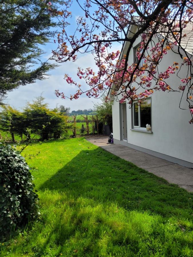 Beechwood House ,Apartment C15Ya44 Slane Dış mekan fotoğraf