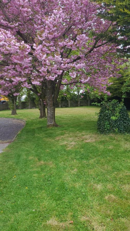 Beechwood House ,Apartment C15Ya44 Slane Dış mekan fotoğraf