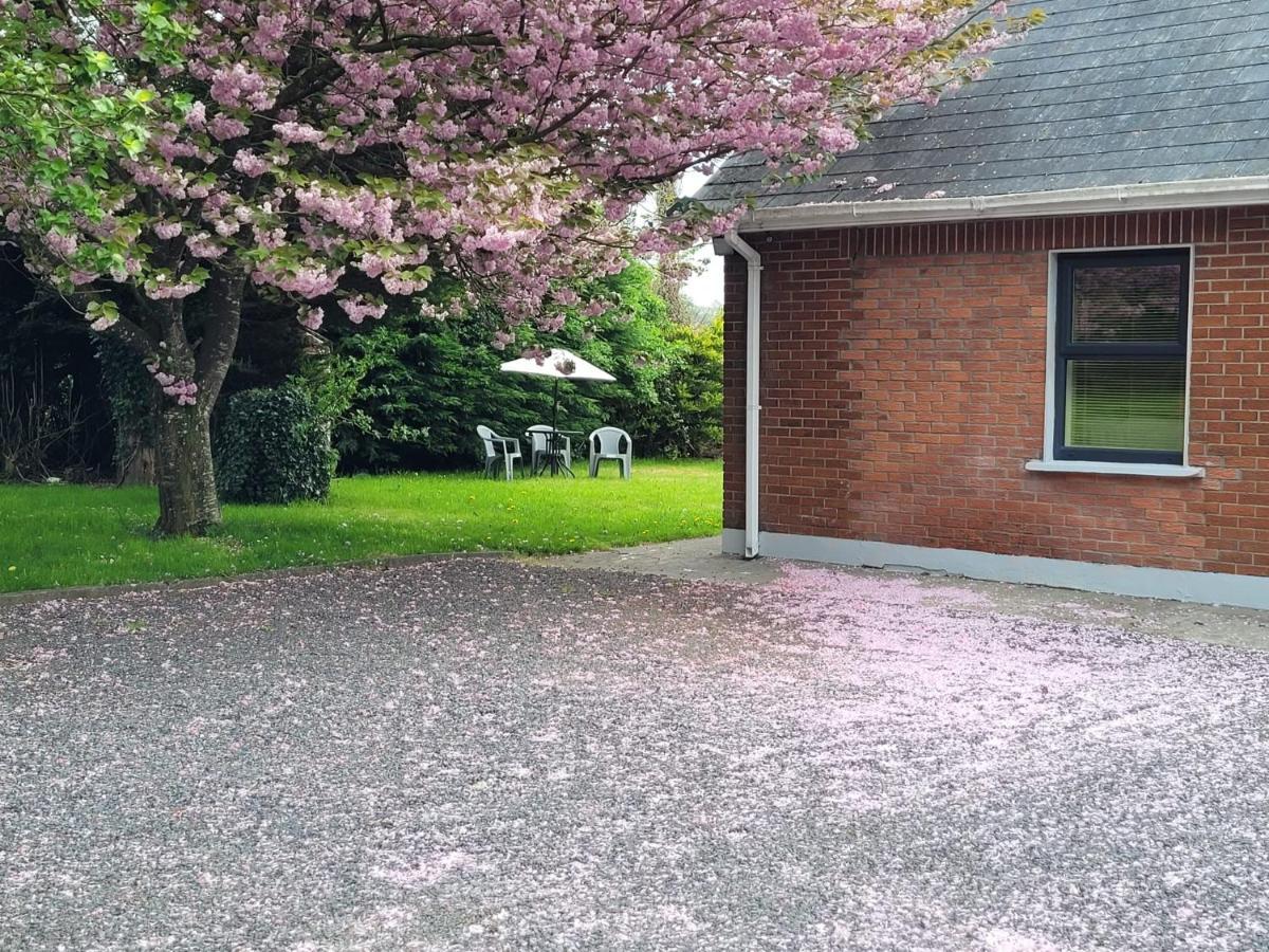 Beechwood House ,Apartment C15Ya44 Slane Dış mekan fotoğraf