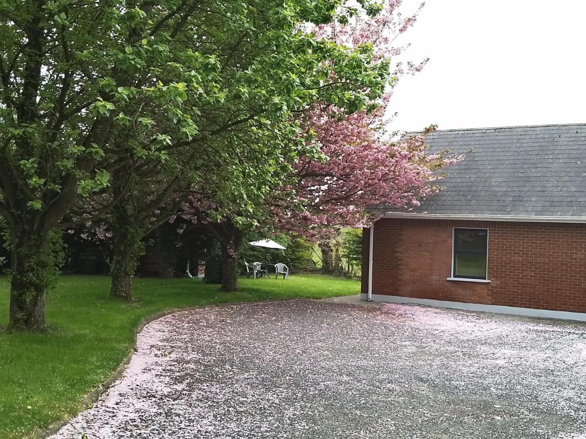Beechwood House ,Apartment C15Ya44 Slane Dış mekan fotoğraf